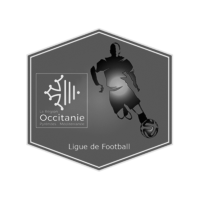 Ligue de Football